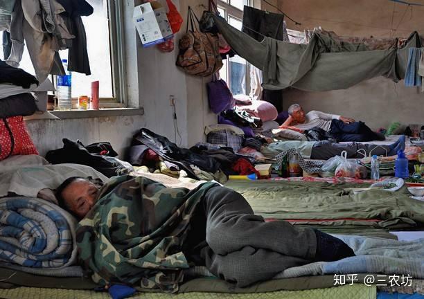 农村老汉不解，致富节目电视上都播了，轮到农民却赔钱，咋回事？