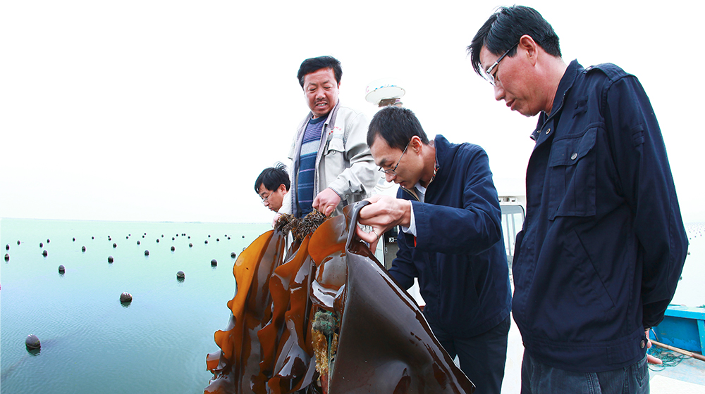 海上养殖的技术视频大全_海上养殖什么最有前景_海上养殖转型升级