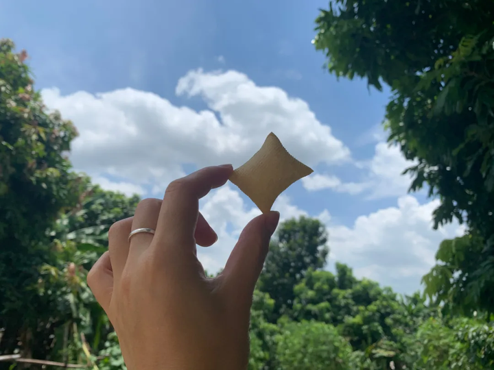 拔草火爆全网的泡泡烤豆皮，抖音的做法靠谱吗？