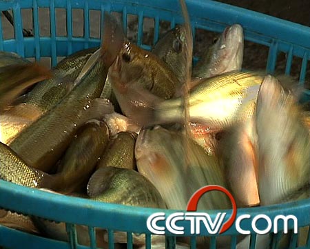 下载致富_致富app官网下载_致富经首页