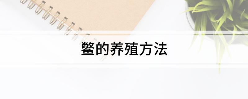 鳖的养殖方法