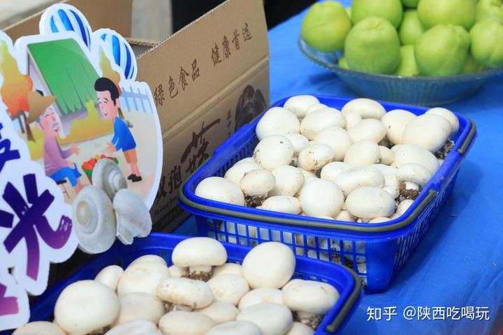 双孢菇种植致富_致富经蘑菇种植视频2019_致富经菌菇种植