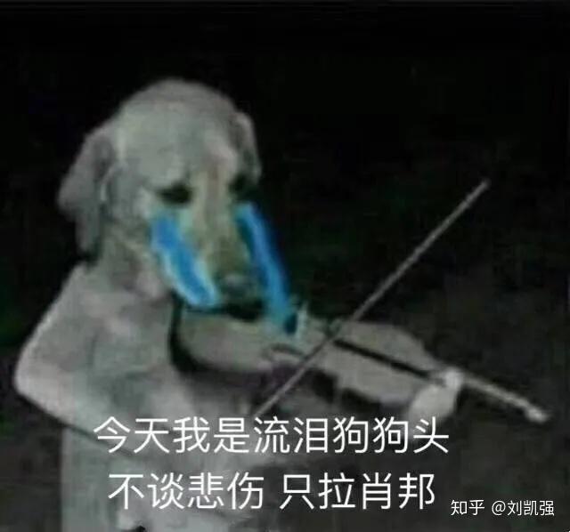 规划的经验启示_以规划引领高质量发展_借鉴优质规划经验分享