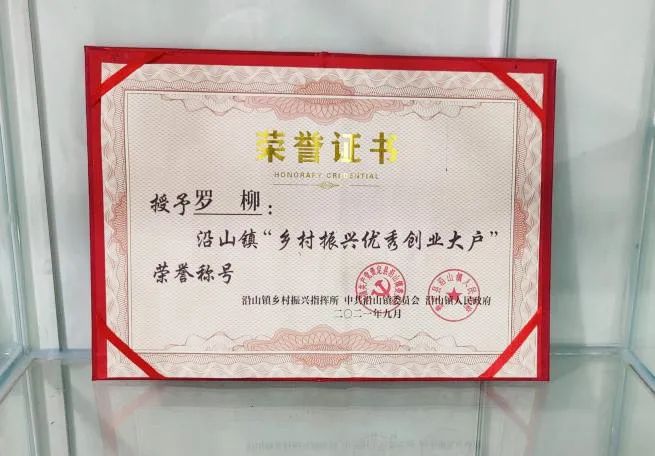 致富土豆种植方法_土豆种植致富_致富土豆种植技术视频