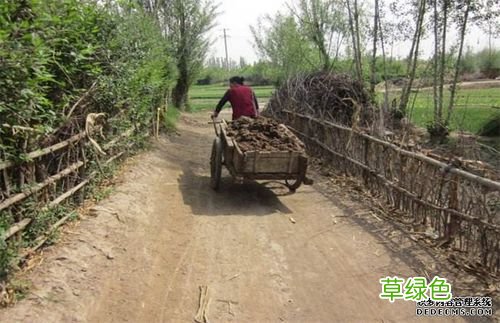 适合穷人没本钱的养殖 小本养殖业什么最赚钱农村( 二 )