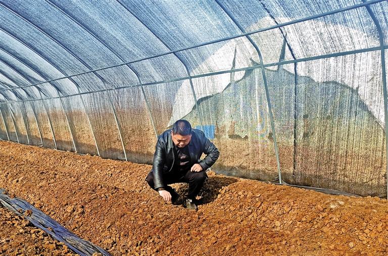 致富经穷小伙花掉2000元_致富小伙万元地摊视频_致富经80小伙2万元2亩地