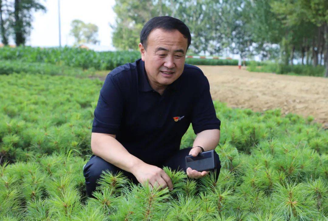 粮食优质工程典型经验发言_优质粮食工程总结_优质粮食工程典型经验交流