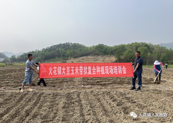 抢抓农时备春耕 传授田间“致富经”——紫云县火花镇开展大豆玉米带状复合种植技术现