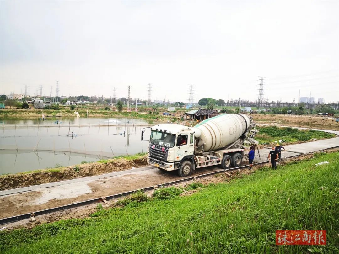 “水泥路”变成水泥路！杏坛高标准农田建设按下“加速键”，铺就致富机耕路