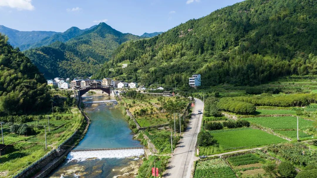 农村5个药材种植致富项目_农村致富新项目 种植药材_致富药材种植农村项目新闻稿