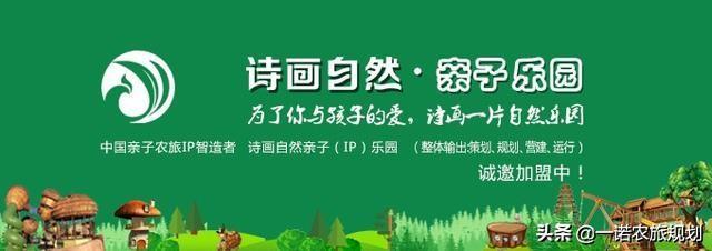 中央7致富经养殖蘑菇_蘑菇养殖投资与收入_蘑菇养殖场
