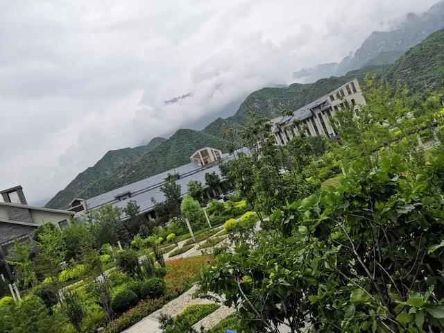 蘑菇养殖场_蘑菇养殖投资与收入_中央7致富经养殖蘑菇