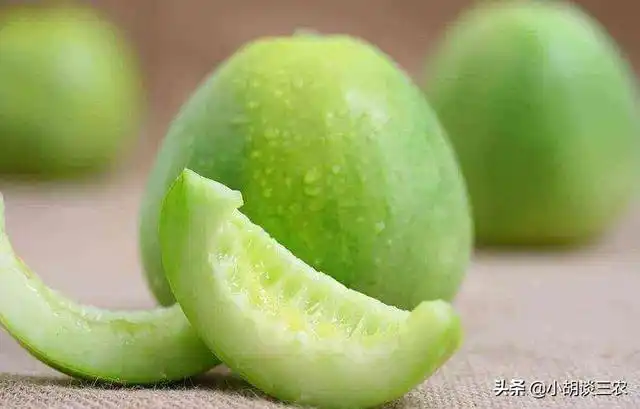 香瓜的种植技巧，掌握种植要点，收获高产香瓜