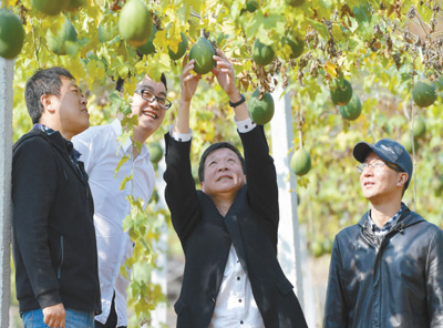 致富鸡蛋卖微信土话怎么说_卖土鸡蛋发财的土豪_致富经微信卖土鸡蛋