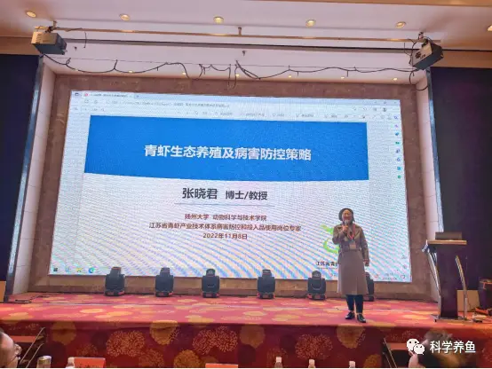 青虾养殖技术视频全集_淡水青虾养殖技术视频_生财有道青虾养殖视频