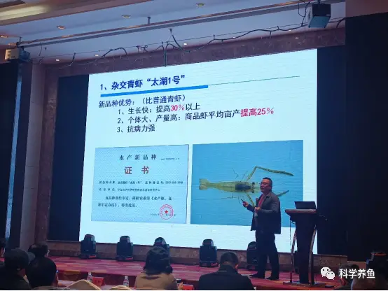 青虾养殖技术视频全集_生财有道青虾养殖视频_淡水青虾养殖技术视频