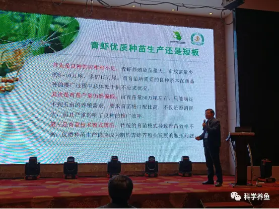 青虾养殖技术视频全集_淡水青虾养殖技术视频_生财有道青虾养殖视频