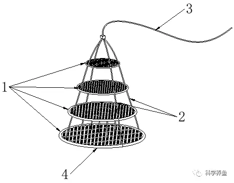 生财有道青虾养殖视频_青虾养殖技术视频全集_淡水青虾养殖技术视频