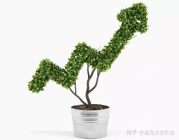 优质作物推广成效及经验_推广农作物_成效作物优质推广经验怎么写