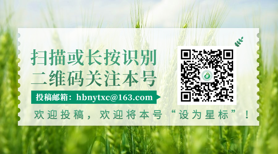 种植药材致富方案_中药材种植致富经_致富药材种植方案模板