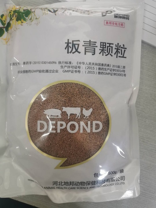 小鹅饲养管理技术视频_小鹅养殖管理技术_养殖小鹅五个误区