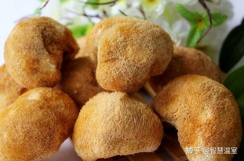 温室大棚种植有利条件_种植温室大棚价格_致富经温室大棚种植