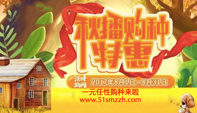 8月应该种这些蔬菜，北方菜友可别错过最后茬口