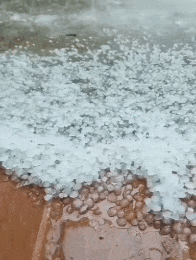 致富西瓜种植故事简介_致富经种西瓜致富的事_种植西瓜致富故事