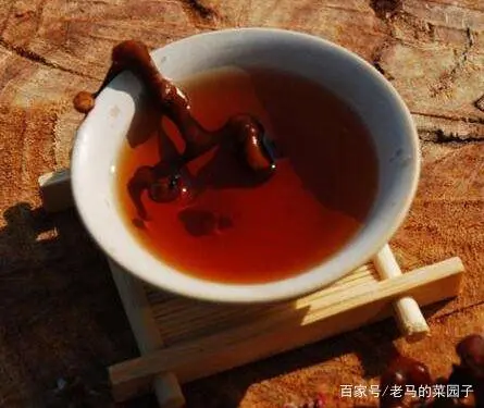 拐枣学养殖技术和种植技术_拐枣树的栽培技术_拐枣的养殖方法和注意事项