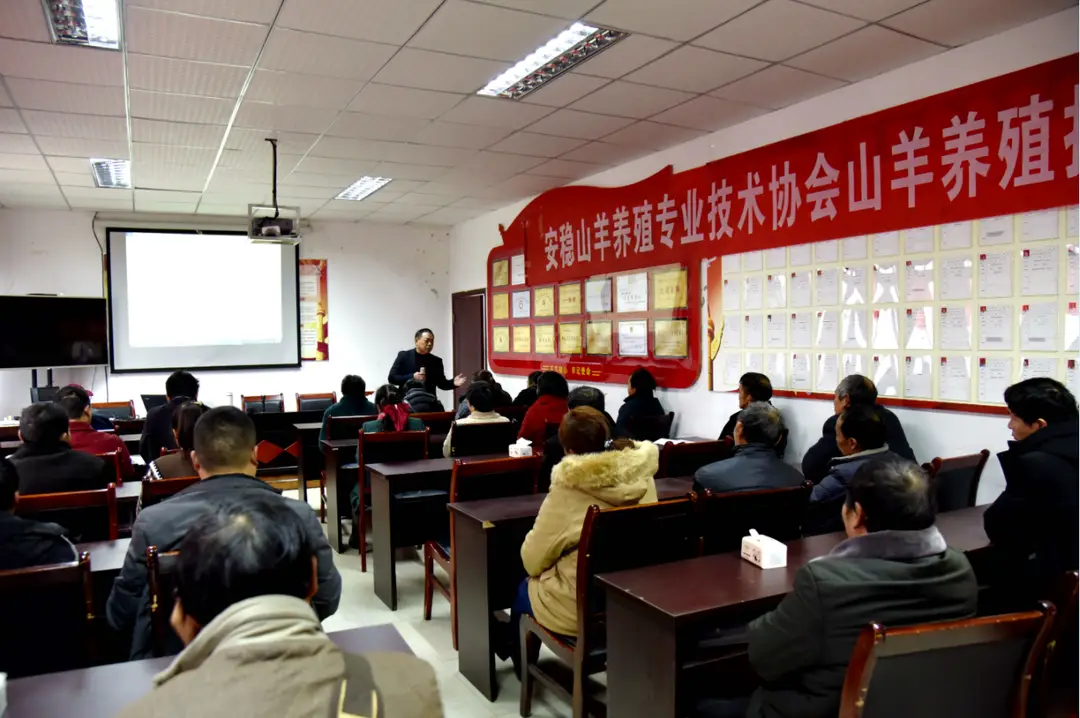 致富经养殖羊视频_养羊致富经_骊羊养殖致富