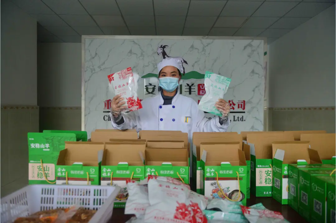 养羊致富经_致富经养殖羊视频_骊羊养殖致富