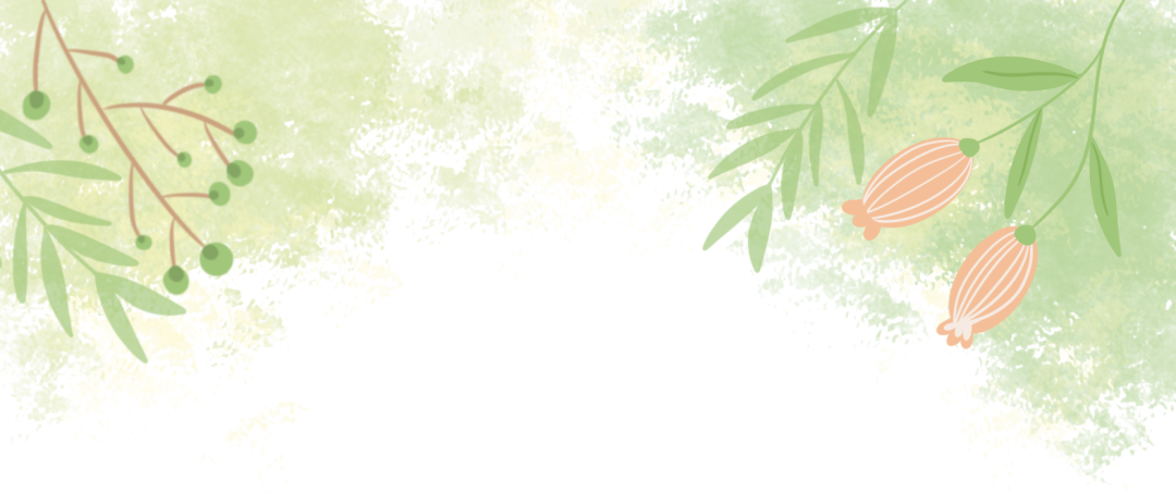 苔藓种植视频教程_种植苔藓致富能手_苔藓种植效益