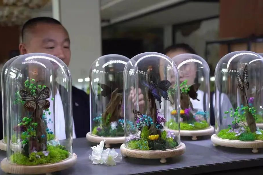 苔藓种植效益_苔藓种植视频教程_种植苔藓致富能手