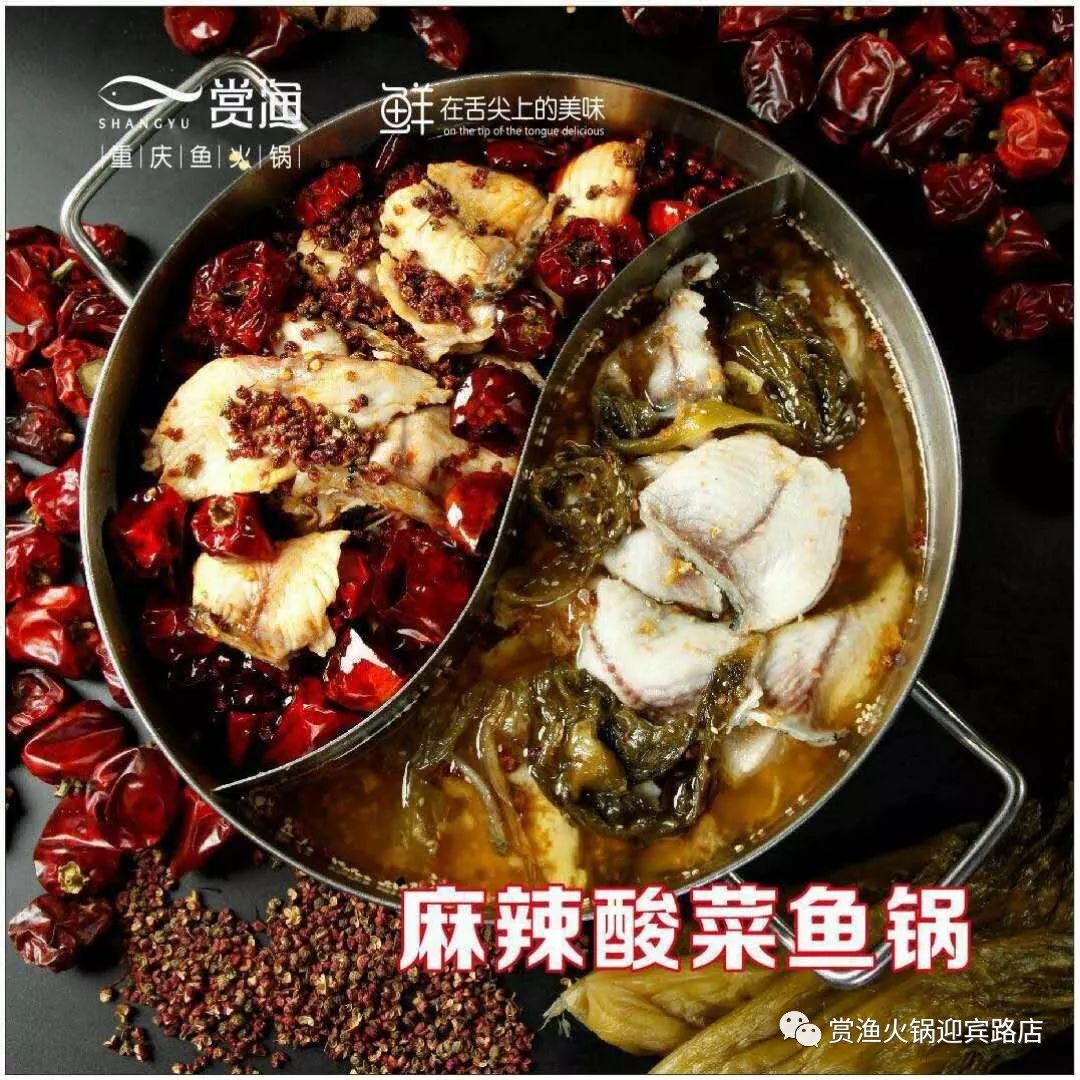 火锅致富重庆鱼怎么做_致富经重庆鱼火锅_重庆吃火锅的鱼