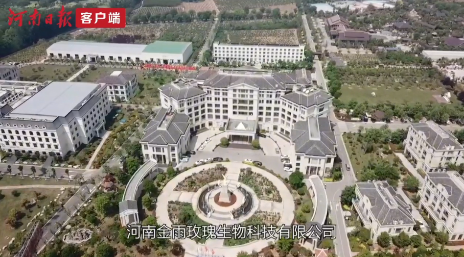 金雨玫瑰：打造一二三产业融合发展典范