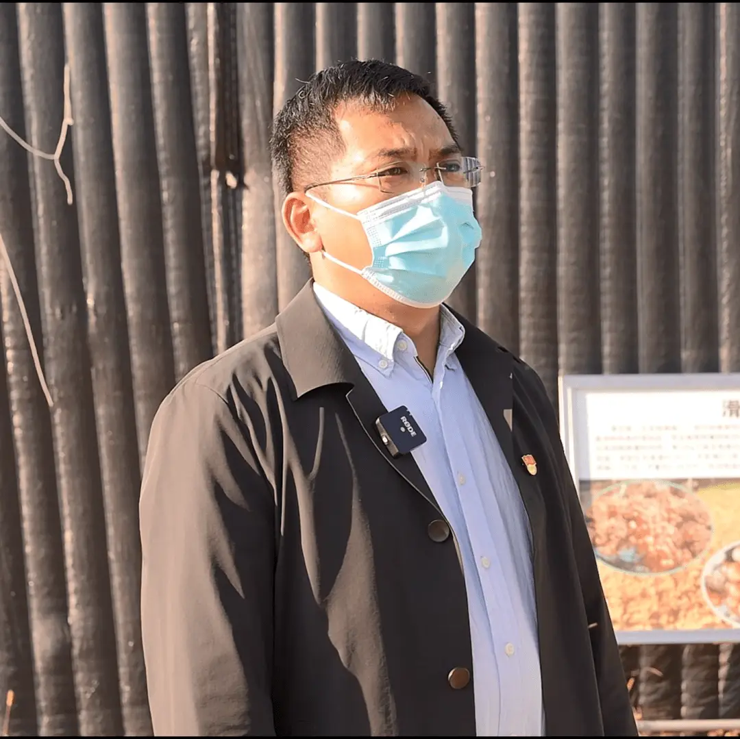 滑子蘑的种植_黑龙江种植滑子蘑致富新闻_滑子蘑生产基地