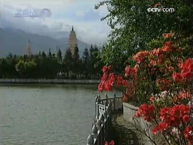 山坡地带种植项目:抓细节成就特色优质烟叶