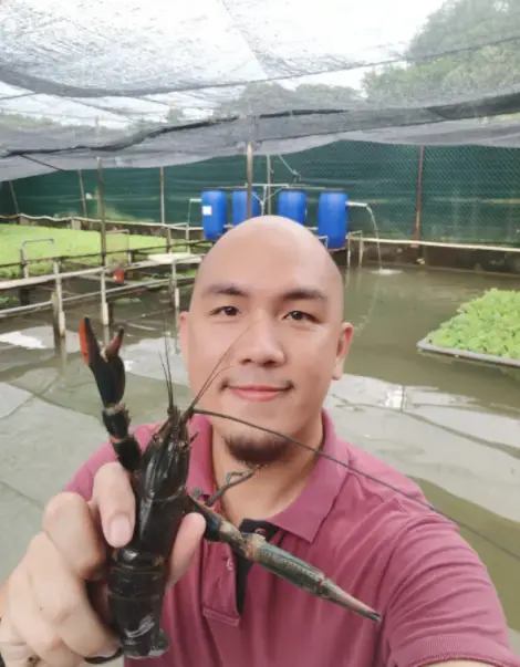 温室龙虾养殖技术_温室龙虾养殖视频_龙虾养殖温室技术规范