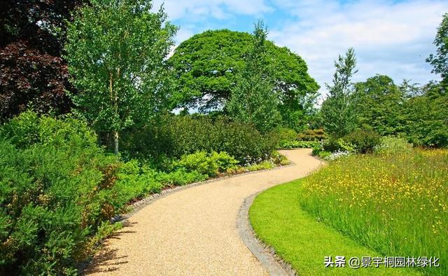 草坪如何种植(草坪草种子怎么种植，以及播种的方法)