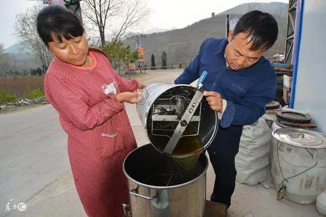 养蜂蜜蜂养殖技术入门_蜜蜂入门养殖养蜂技术视频教程_蜜蜂入门养殖养蜂技术方法