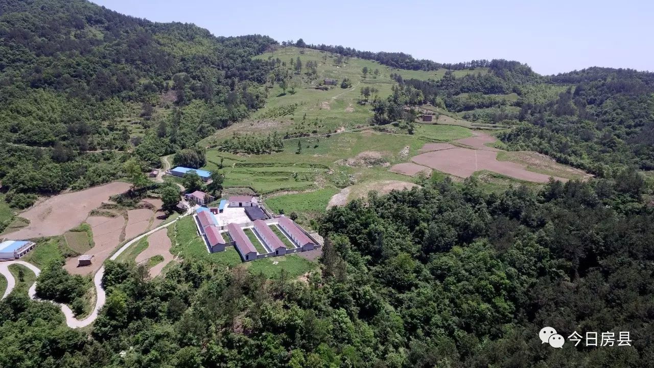山上养殖什么赚钱_山顶养殖致富_山顶养殖优势