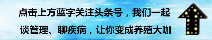 母猪低成本养殖技术_养殖母猪的成本和利润_养殖母猪赚钱吗