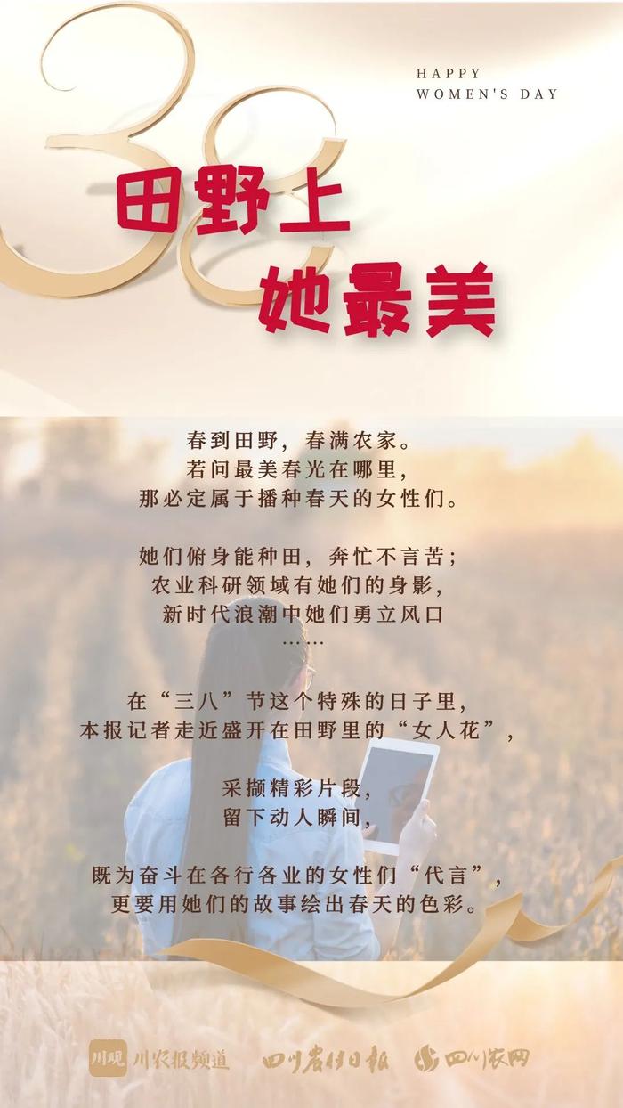 致富经四川律师回家养鸡_致富经cctv7养鸡视频全集_致富经2019年全集养鸡视频
