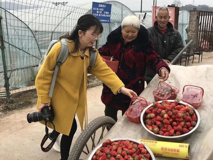 致富经cctv7养鸡视频全集_致富经四川律师回家养鸡_致富经2019年全集养鸡视频