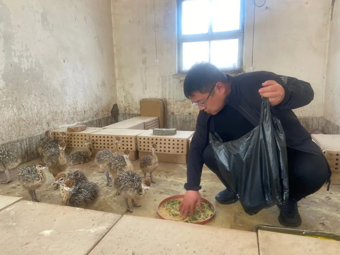 山上养殖_山顶养殖优势_山顶养殖致富