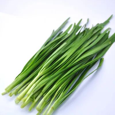 红韭菜怎么种植技术视频_韭菜种植视频教程_韭菜种法视频