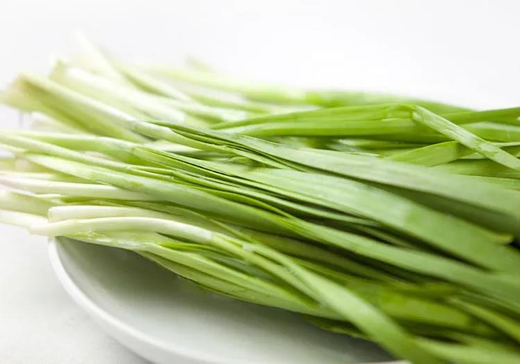 韭菜种植视频教程_红韭菜怎么种植技术视频_韭菜种植视频播放