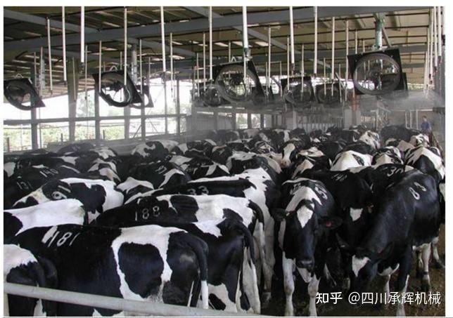 养殖牛需要办什么手续_养殖牛需要什么条件具备_养殖牛需要哪些技术