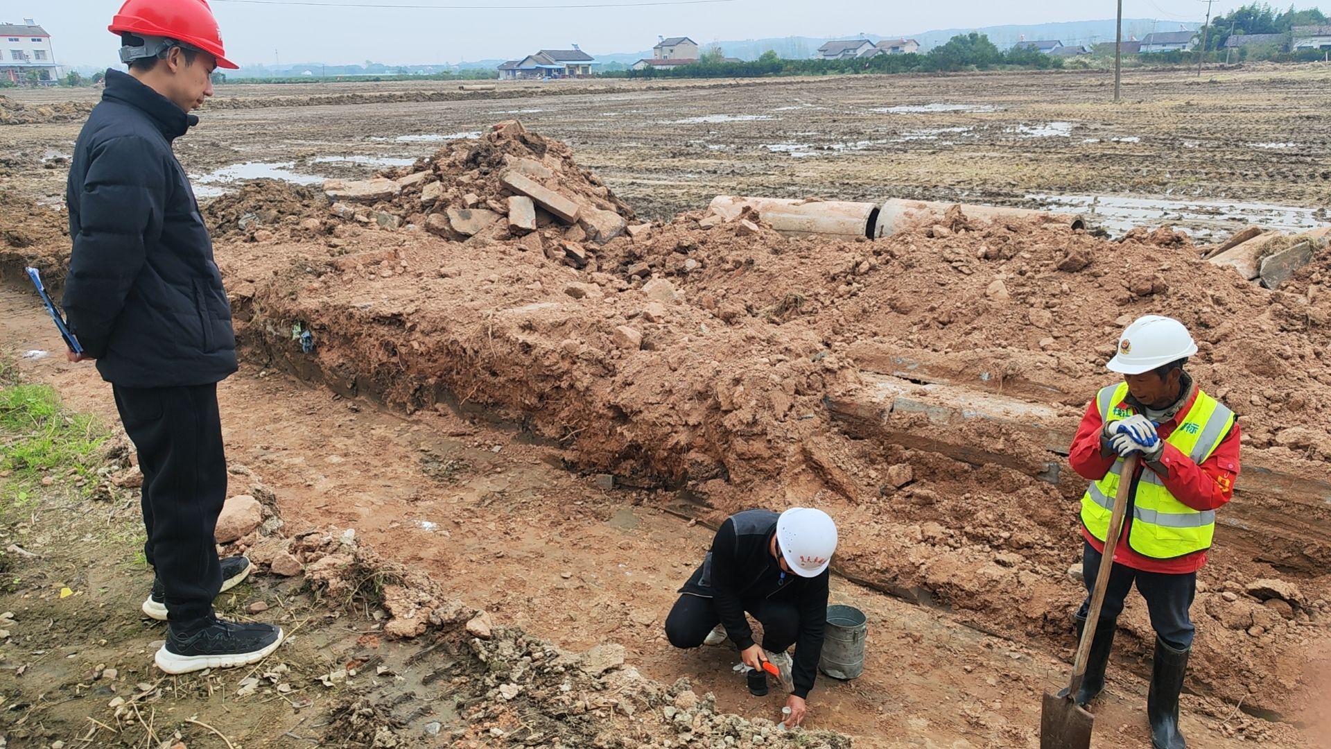 枝江苗木基地_湖北枝江种猪场_枝江种植致富