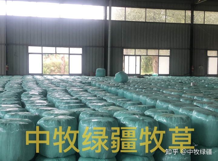 种植牧草致富项目_致富经种牧草养殖视频_致富种植牧草项目介绍